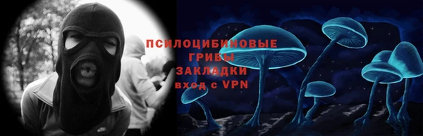 соль ск Вязьма