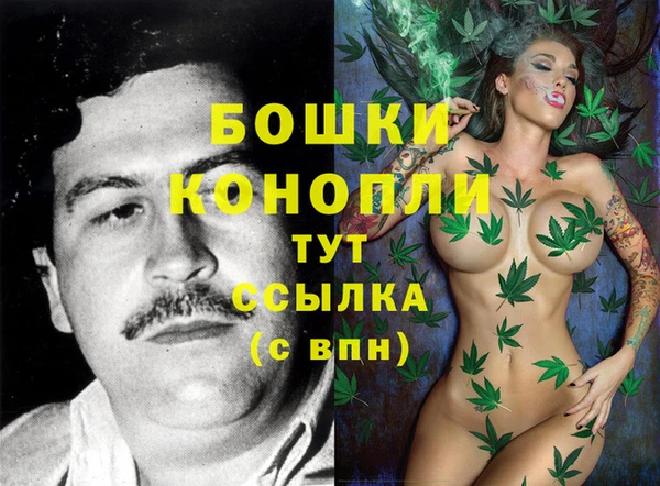 spice Вязники