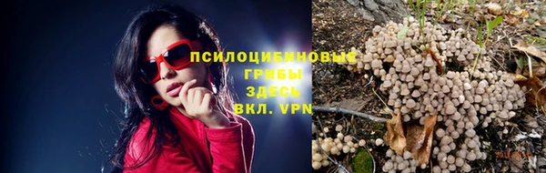 ALPHA PVP Вяземский