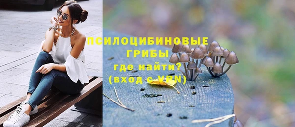 соль ск Вязьма